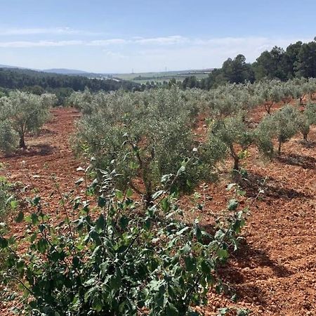 El-Cortijo Villa Siete Aguas Eksteriør billede
